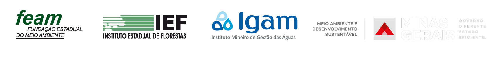 rodapé com logomarca FEAM, IEF, IGAM e do Governo de Minas Gerais