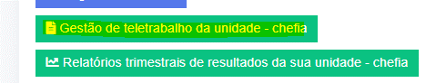 Gestão de teletrabalho - chefia