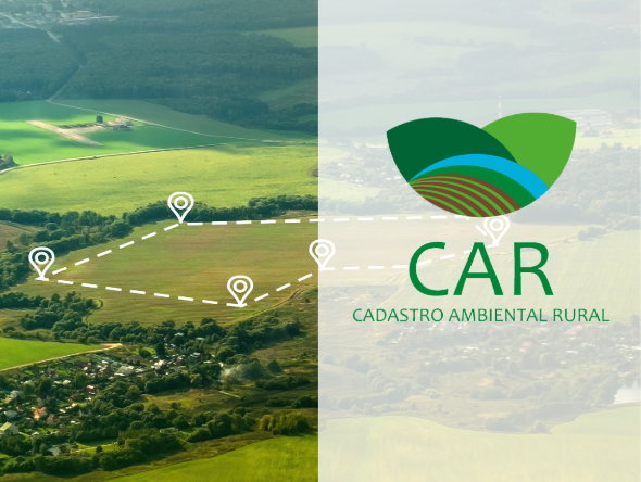 Análise Individualizada do CAR – Cadastro Ambiental Rural 