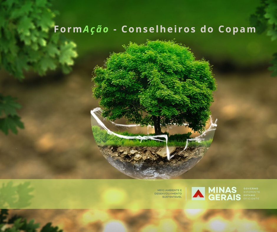 Capacitação dos Conselheiros do Copam - 2025