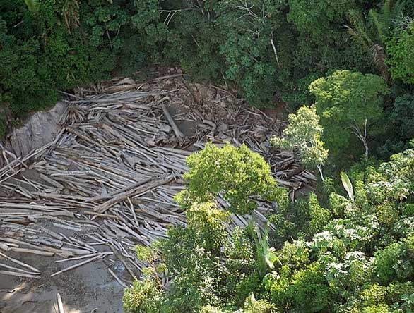 Capacitação para Fiscalização Ambiental