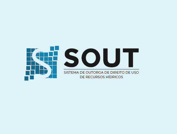 Capacitação SOUT - Perfis de Acesso