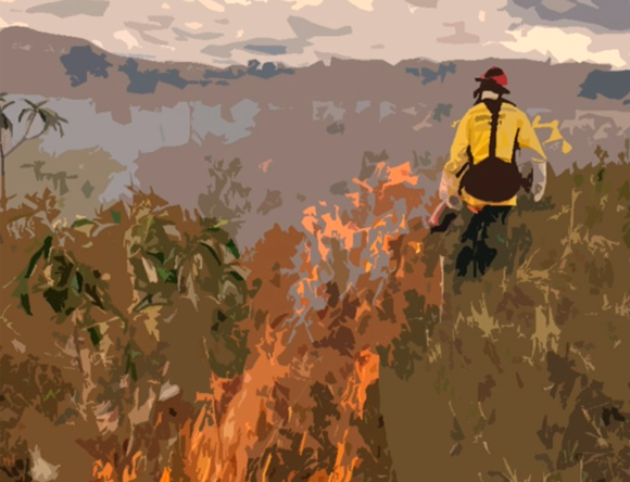 Curso de Queima Prescrita - Manejo Integrado do Fogo