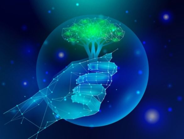 I Seminário de Inteligência Ambiental