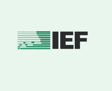 categoria_ief_capacita.png