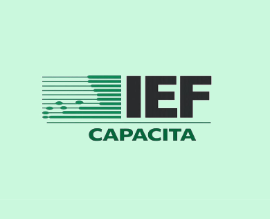 ief_capacita_img.png
